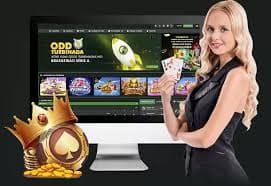 Responsible gaming reminder image for bdjl app Buffalo King page